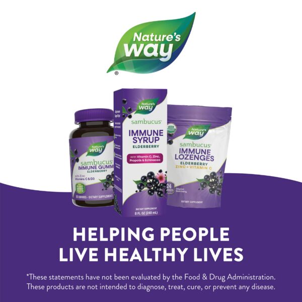 Version 1.0.0 Jarabe natural Sambucus para sistema inmune