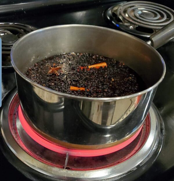 Jarabe de saúco orgánico NIANWUDU en mesa