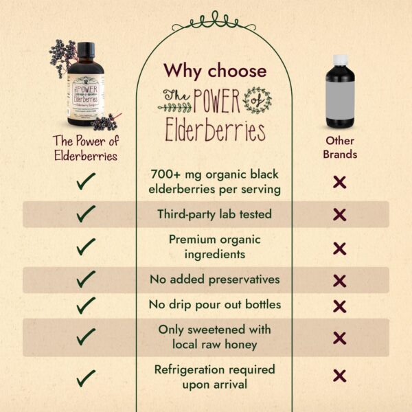 Version 1.0.0 Jarabe de saúco sin azúcar refinada con miel cruda y especias
