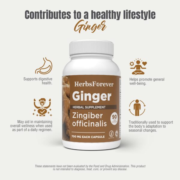 jengibre apoyo digestivo cápsulas vegetales 800mg