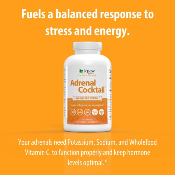 Version 1.0.0 Frasco rojo sobre fondo blanco