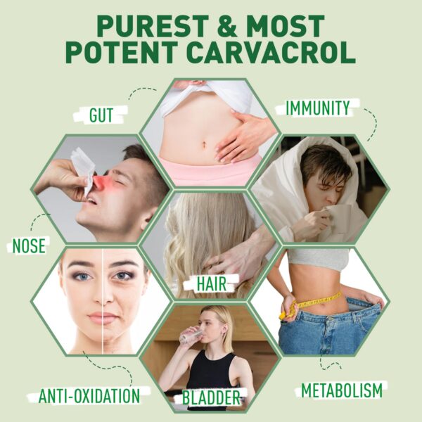 Version 1.0.0 Joywiit suplemento gomitas 100mg vitamina B1 y orégano