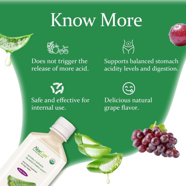 Detalle ingredientes naturales jugo AloeCure Aloe Vera orgánico