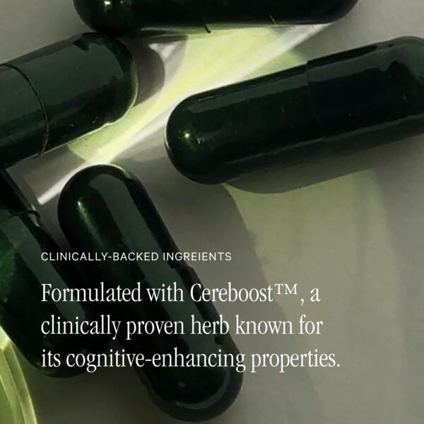 Juna Gut Therapy suplemento para energía y concentración