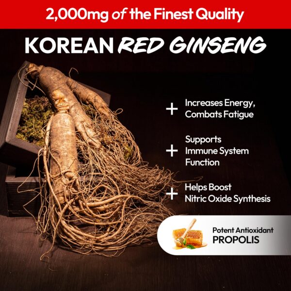 JUNG KWAN JANG extracto ginseng rojo en stick práctico