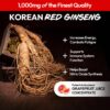 JUNG KWAN JANG sticks de ginseng rojo para energía diaria