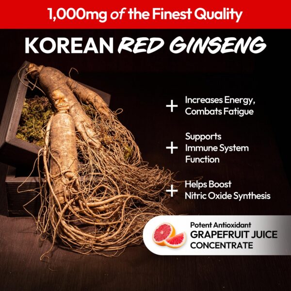 JUNG KWAN JANG sticks de ginseng rojo para energía diaria