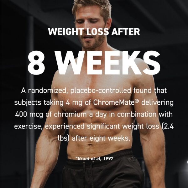 Version 1.0.0 Envase para venta al público