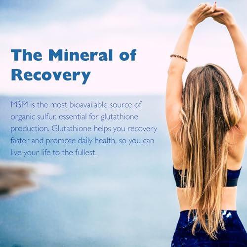 Version 1.0.0 Detalles de MSMPure y destilación