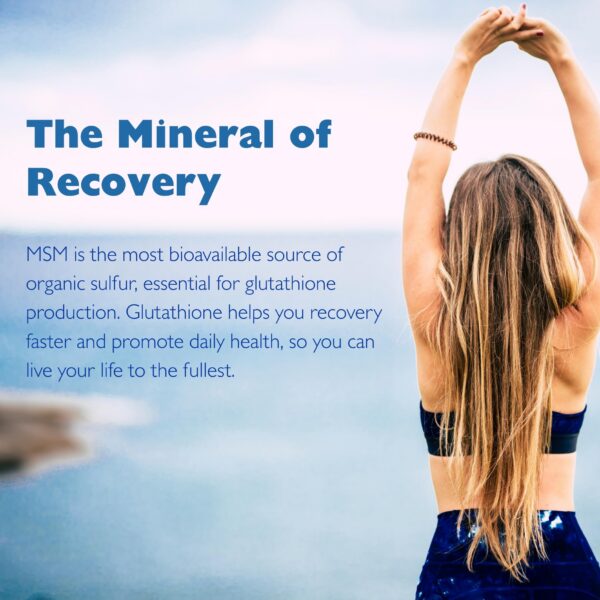 Version 1.0.0 Logo de Kala Health MSMPure