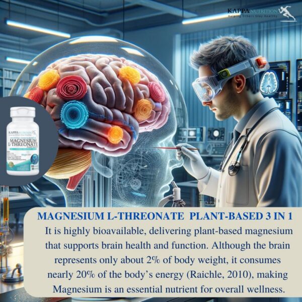 Logotipo KAPPA NUTRITION Magbrain