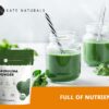 Espirulina orgánica Kate Naturals en polvo sobre cuchara
