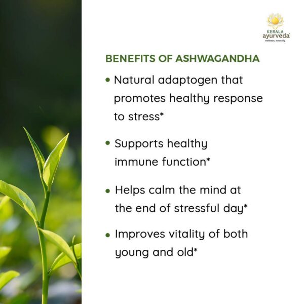 Version 1.0.0 Detalle del envase Ashwagandha