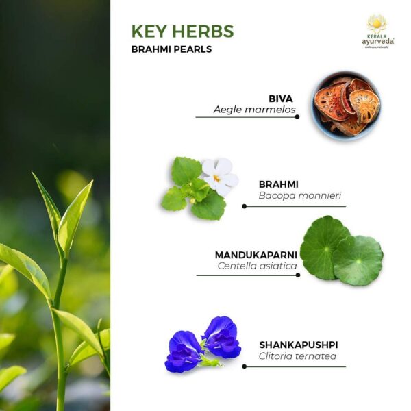Perlas ayurvédicas para enfoque y memoria Kerala Ayurveda