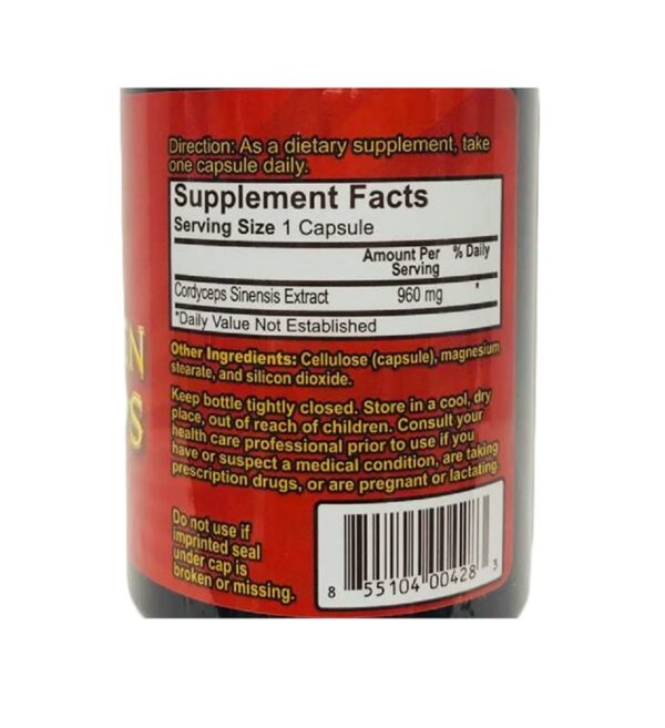 King Golden Cordyceps suplemento de calidad tibetana