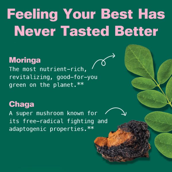 Version 1.0.0 Kuli Kuli gomitas energéticas hechas con hojas de moringa