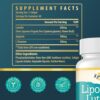 Detalle de los ingredientes de luteolina liposomal