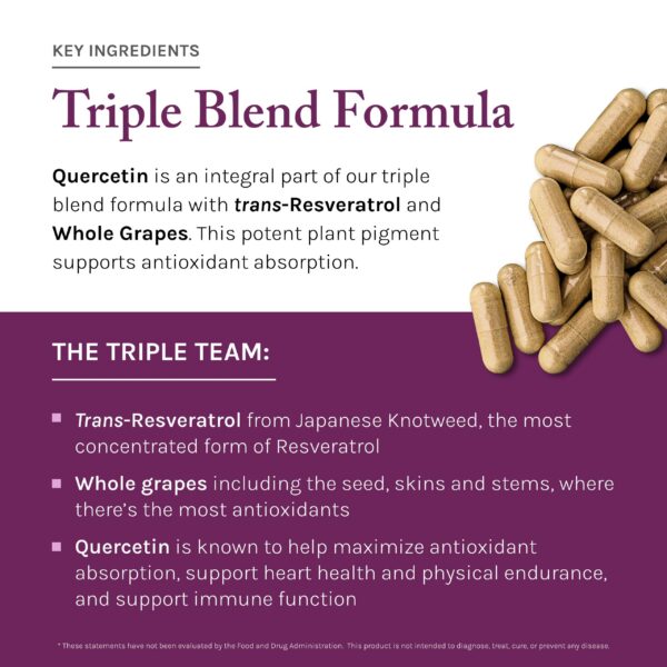 Detalle de la etiqueta de ingredientes