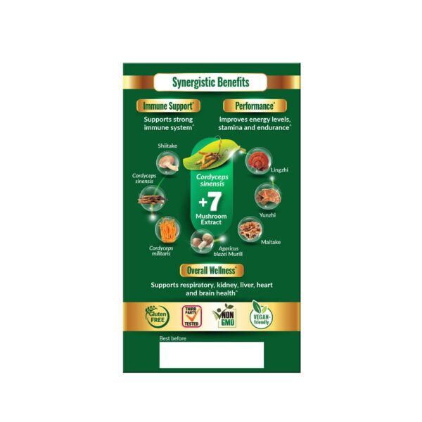 Detalle de las cápsulas de suplemento de hongos LABO Nutrition