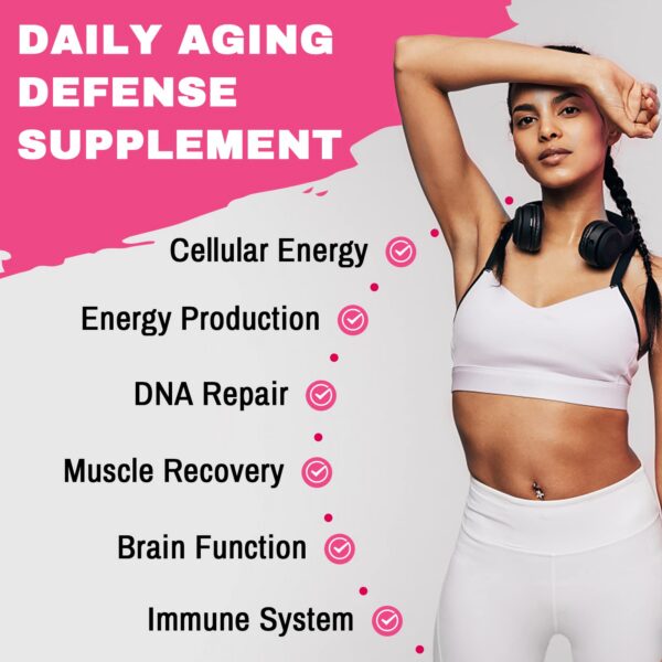 Version 1.0.0 Frasco en estante de presentación