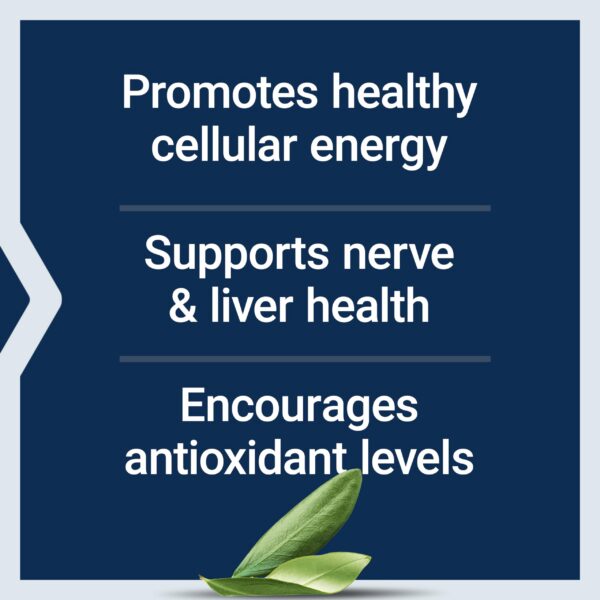 Version 1.0.0 Caja y etiqueta frontal