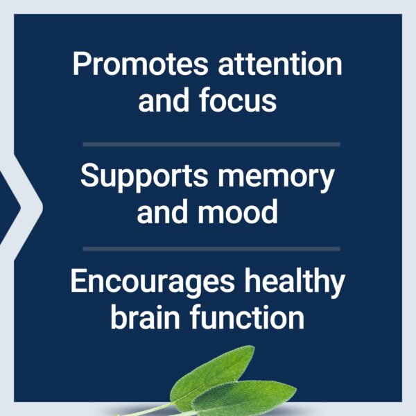 Version 1.0.0 Envase Cognitex Elite en primer plano