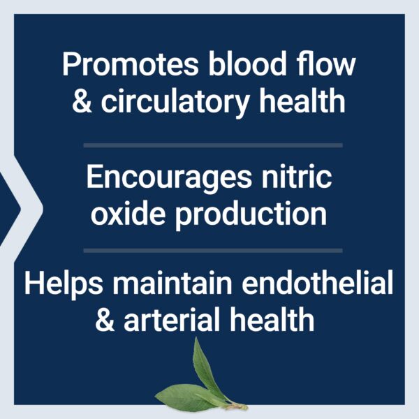Frasco y caja NitroVasc Boost