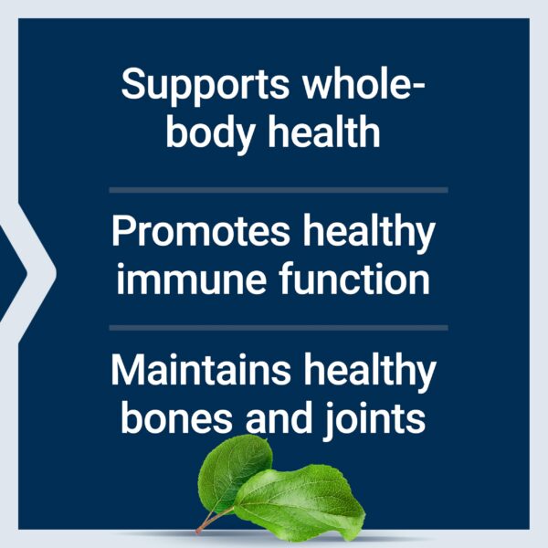 Version 1.0.0 Cierre de seguridad y etiqueta