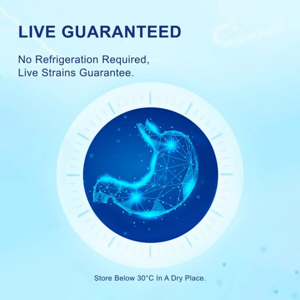 Version 1.0.0 Life-Space envase en estante