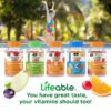 Gomitas nutricionales Lifeable para apoyo infantil saludable