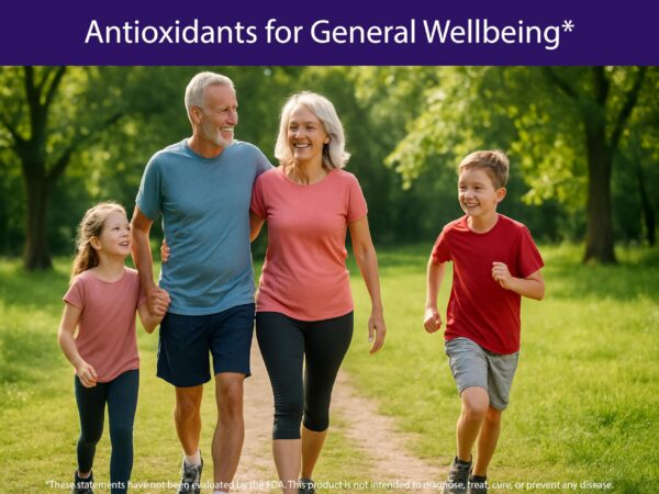 Version 1.0.0 Liofilización para máxima nutrición en cápsulas KOYAH bayas naturales