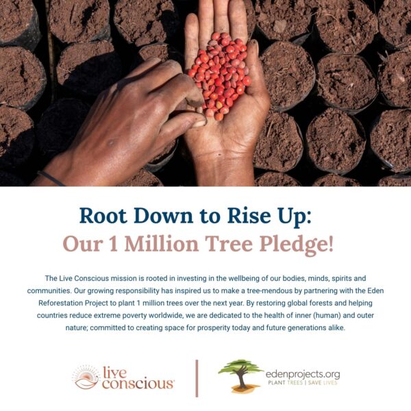 Version 1.0.0 Live Conscious Beyond Greens polvo superalimento concepto salud