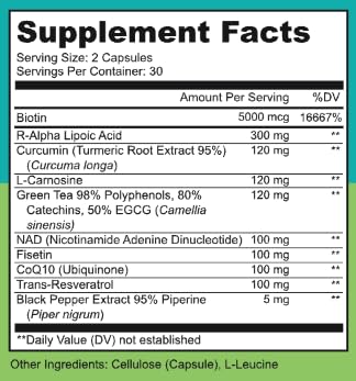 Vista superior del envase