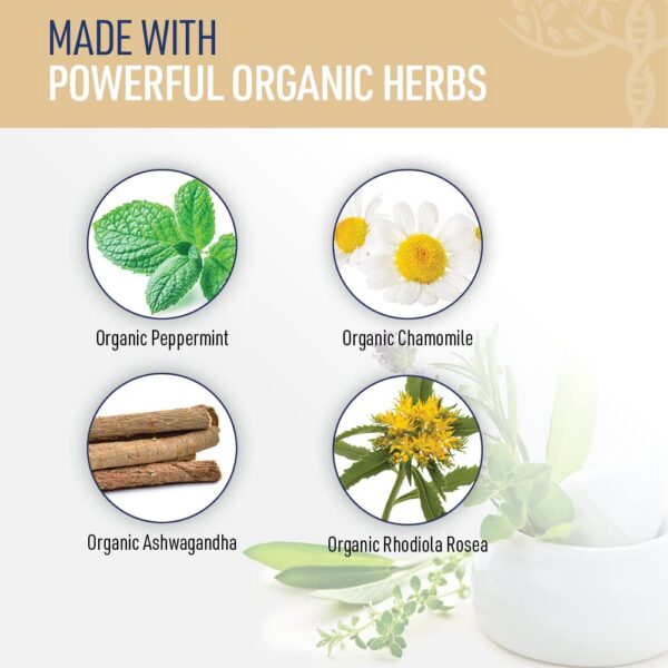 Version 1.0.0 Caja y cápsulas de Zen Calm