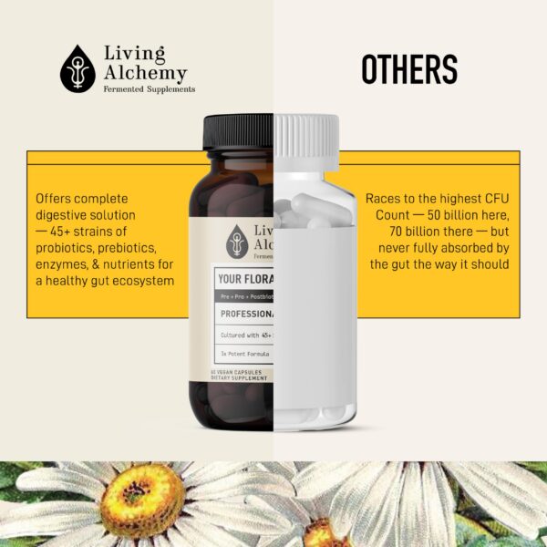 Living Alchemy suplemento vegano sin OGM para salud digestiva