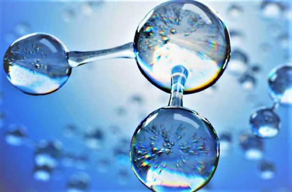 Detalle de la etiqueta de producto