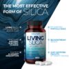 Version 1.0.0 Living Silica fórmula con alta absorción de silicio