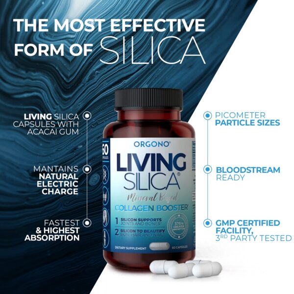 Version 1.0.0 Living Silica fórmula con alta absorción de silicio