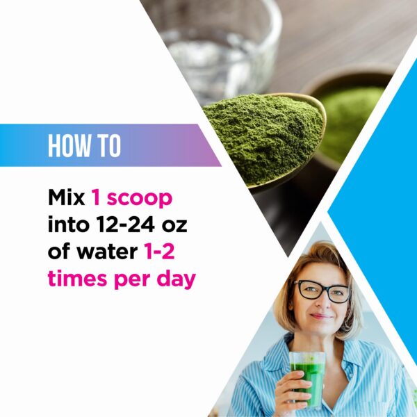 Livingood Daily Greens polvo con espirulina y clorella