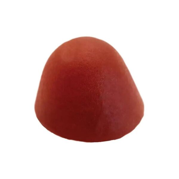 Version 1.0.0 Interior del frasco con gomitas