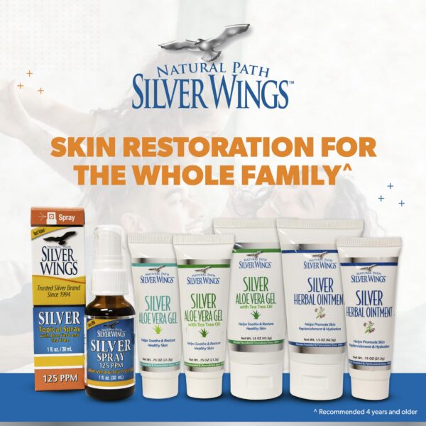 Version 1.0.0 Logo de Ebook Inc