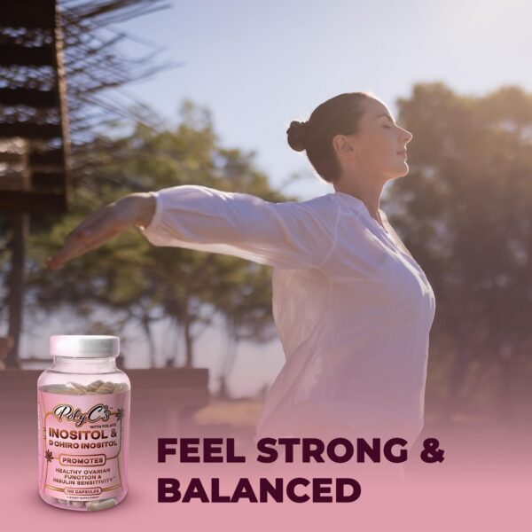 Version 1.0.0 Logo POLYC'S