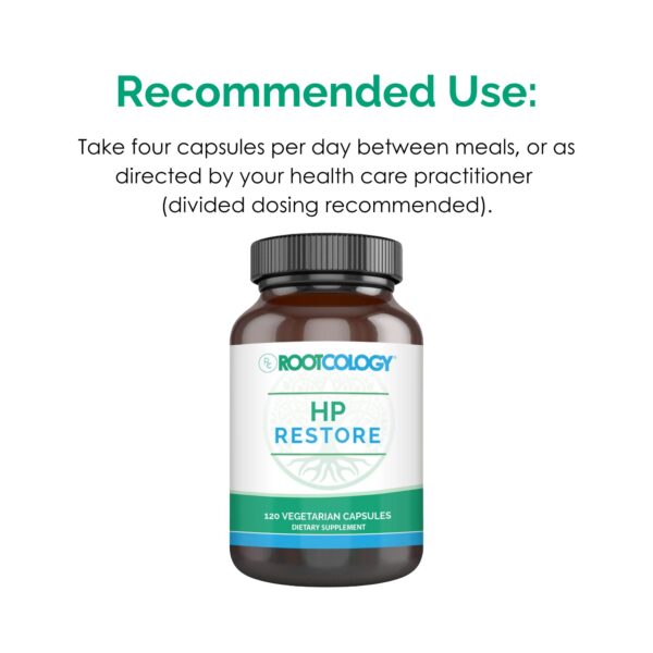 Logo Rootcology en suplemento para digestión saludable