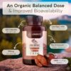 Longevity Botanicals cápsulas extracto reishi para salud integral
