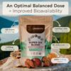 Longevity Botanicals super six polvo extracto mezcla hongos orgánicos