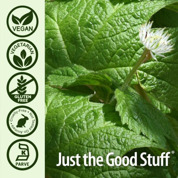 Version 1.0.0 Lote de cápsulas vegetarianas Goldenseal Nature's Answer