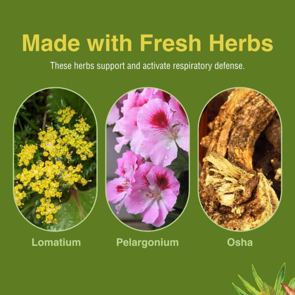 Descripción e información nutricional de Loviral herbs etc.