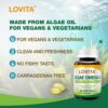 Version 1.0.0 Etiqueta trasera del producto Lovita Omega-3