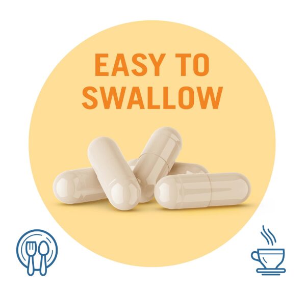 Version 1.0.0 Frasco de Lypazyme