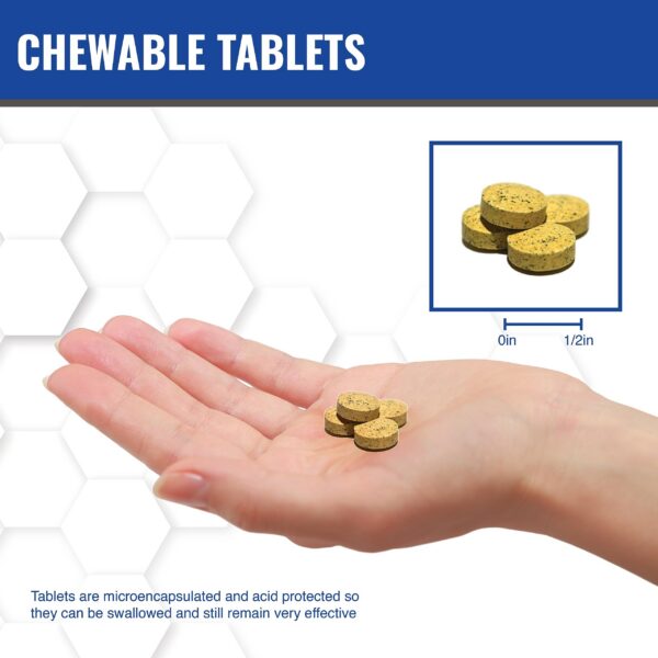 MAAC10 NADH + CoQ10 frasco y etiqueta